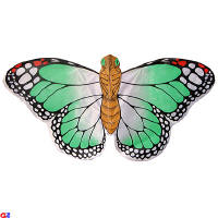 Green butterfly kite