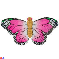 pink butterfly kite