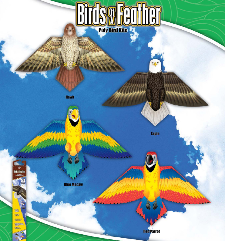 Birds of Feather Poly Kites - Case of 12 Assortment