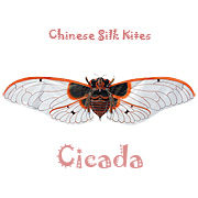 Silk Cicada Kite - White - Chinese Kites