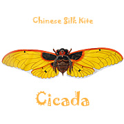 Silk Cicada Kite - Yellow - Chinese Kites
