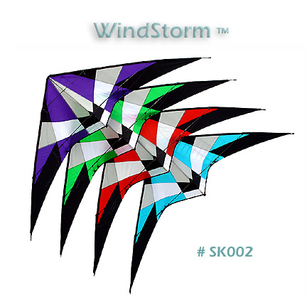 WindStorm™ - Dual Control Nylon Sport Kites - Case of 12 Assortment <FONT color=#ff0000><I>New</FONT></I>