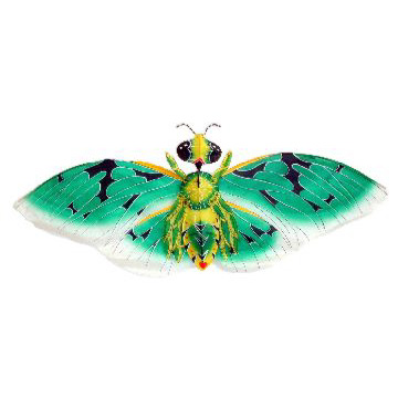 SSKITE-BEE-GRN-B - Green - Mini Silk Bee Kites With Gift Box