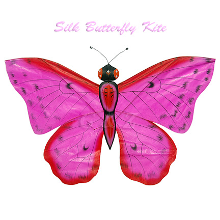 TC-B011 Hot Pink Silk Butterfly Kites (Small)