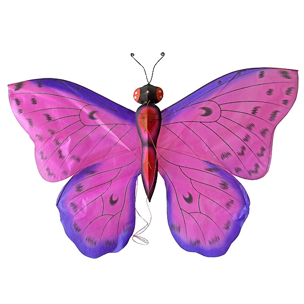 TC-B011 Peach Color Silk Butterfly Kites (Small)