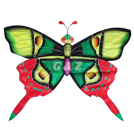 3D Silk Rain Forest Butterfly Kites-1 (Green/Red)