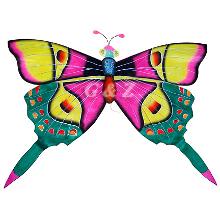 3D Silk Rain Forest Butterfly Kites-2 (Pink/Green)