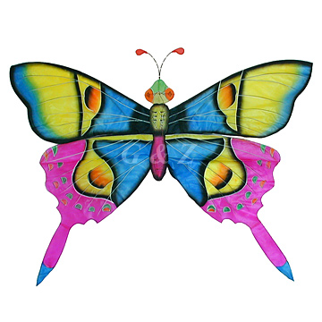 3D Silk Rain Forest Butterfly Kites-6 (Blue/Pink)