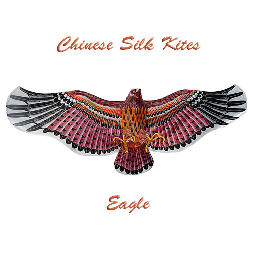 3D Extra Large Silk Eagle Kite - 2
