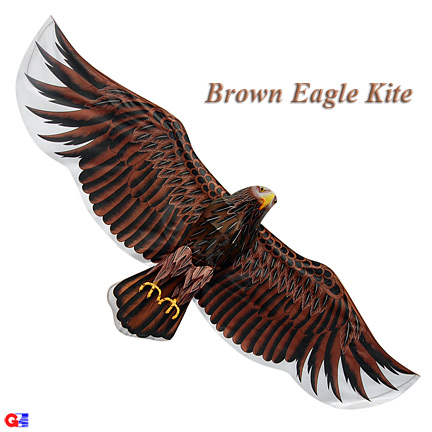 Extra Large Silk Eagle Kite - Dark Brown