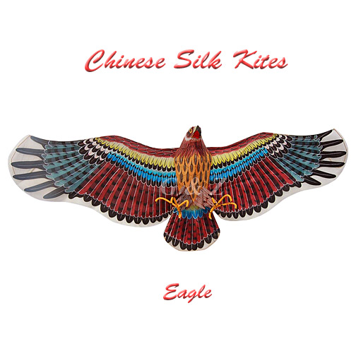3D Extra Large Silk Eagle Kite - 1